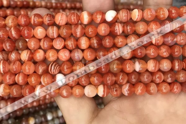 CAA3761 15.5 inches 6mm round red botswana agate beads wholesale