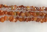 CAA3806 15.5 inches 4*6mm - 8*10mm chips red agate beads wholesale