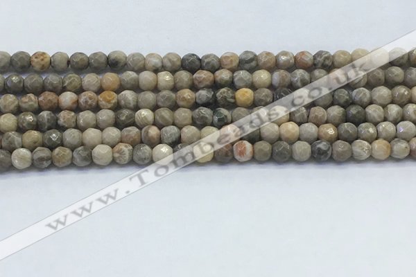 CAA3960 15.5 inches 4mm faceted round chrysanthemum agate beads