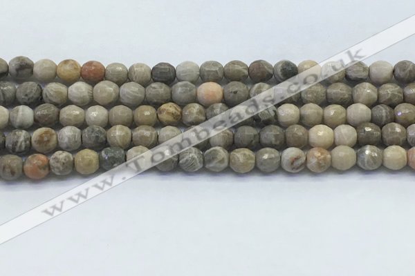 CAA3961 15.5 inches 6mm faceted round chrysanthemum agate beads
