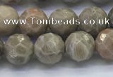 CAA3962 15.5 inches 8mm faceted round chrysanthemum agate beads