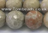 CAA3965 15.5 inches 14mm faceted round chrysanthemum agate beads