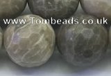 CAA3968 15.5 inches 20mm faceted round chrysanthemum agate beads