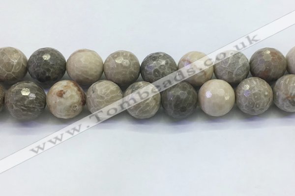 CAA3968 15.5 inches 20mm faceted round chrysanthemum agate beads