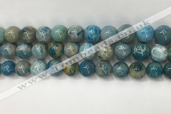 CAA3980 15.5 inches 12mm round chrysanthemum agate beads