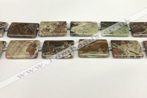 CAA4359 15.5 inches 25*35mm rectangle rainforest agate beads