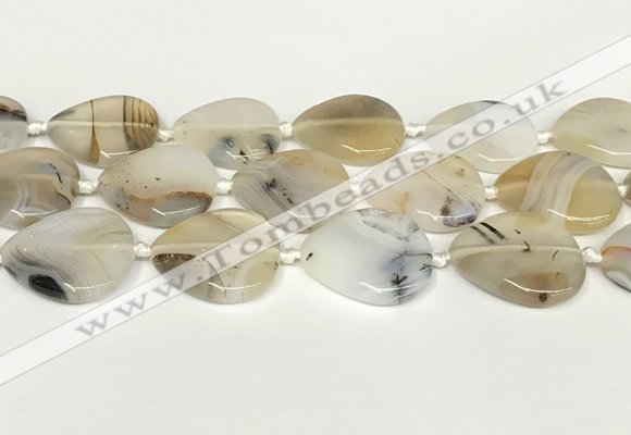 CAA4392 15.5 inches 30*30mm flat round Montana agate beads