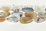 CAA4394 15.5 inches 18*28mm - 30*45mm freeform Montana agate beads