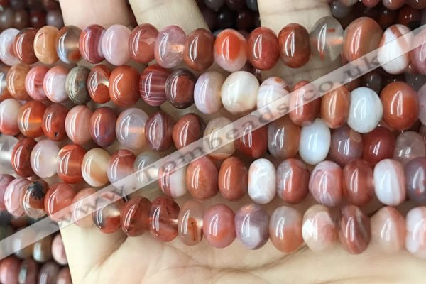 CAA4563 15.5 inches 6*10mm - 8*11mm rondelle south red agate beads