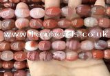 CAA4569 15.5 inches 10*12mm - 11*14mm rice south red agate beads