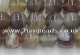 CAA4865 15.5 inches 6mm round Botswana agate beads wholesale