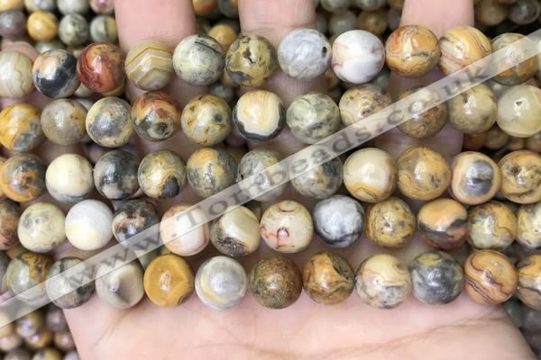 CAA4936 15.5 inches 10mm round yellow crazy lace agate beads wholesale