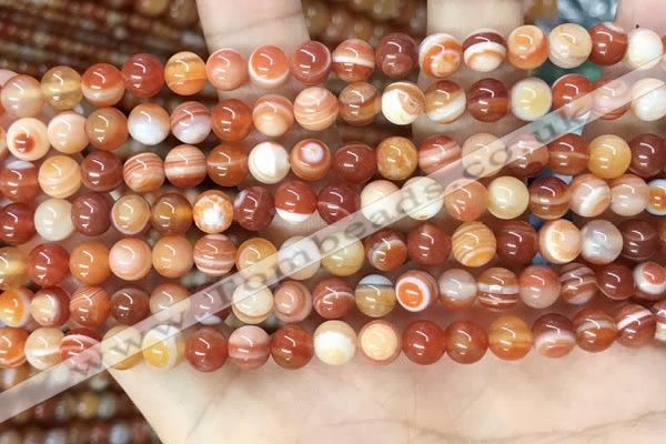 CAA4950 15.5 inches 6mm round Madagascar agate beads wholesale