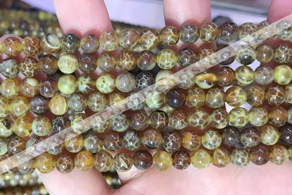 CAA5037 15.5 inches 6mm round yellow dragon veins agate beads