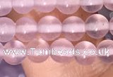 CAA5080 15.5 inches 4mm round purple agate beads wholesale