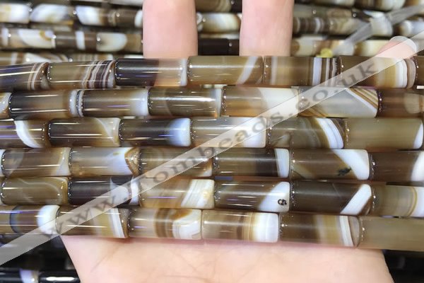 CAA5126 15.5 inches 8*20mm tube striped agate beads wholesale