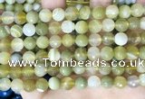 CAA5158 15.5 inches 8mm faceted round banded agate beads