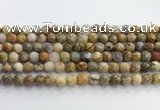 CAA5291 15.5 inches 6mm faceted round crazy lace agate beads wholesale