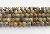 CAA5293 15.5 inches 10mm faceted round crazy lace agate beads wholesale