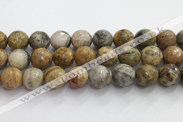 CAA5295 15.5 inches 14mm faceted round crazy lace agate beads wholesale