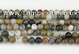 CAA5331 15.5 inches 8mm round ocean agate beads wholesale