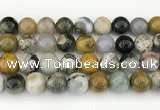 CAA5334 15.5 inches 12mm round ocean agate beads wholesale