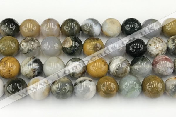 CAA5334 15.5 inches 12mm round ocean agate beads wholesale