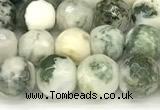 CAA5800 15 inches 6mm faceted round tree agate beads