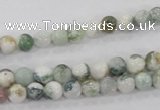 CAA700 15.5 inches 6mm round tree agate gemstone beads wholesale