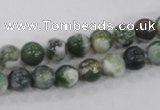 CAA701 15.5 inches 8mm round tree agate gemstone beads wholesale