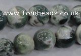 CAA704 15.5 inches 14mm round tree agate gemstone beads wholesale