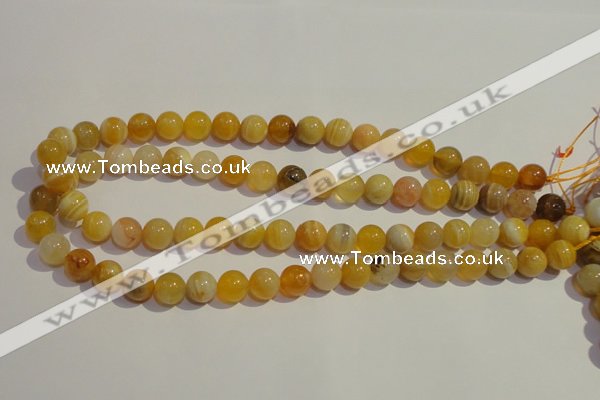 CAA87 15.5 inches 6mm round botswana agate gemstone beads