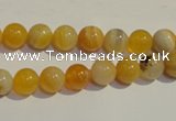 CAA88 15.5 inches 8mm round botswana agate gemstone beads