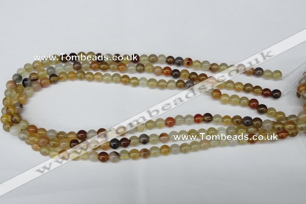 CAA890 15.5 inches 6mm round agate gemstone beads wholesale