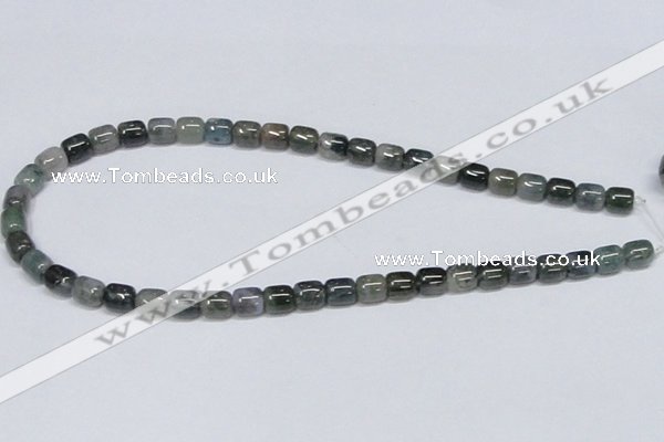 CAB391 15.5 inches 8*8mm column moss agate gemstone beads wholesale