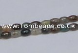 CAB437 15.5 inches 4*6mm rice indian agate gemstone beads wholesale