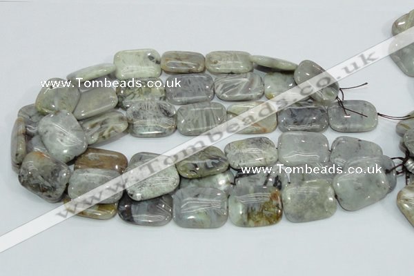 CAB88 15.5 inches 22*30mm rectangle silver needle agate gemstone beads