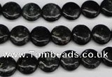 CAE44 15.5 inches 10mm flat round astrophyllite beads wholesale