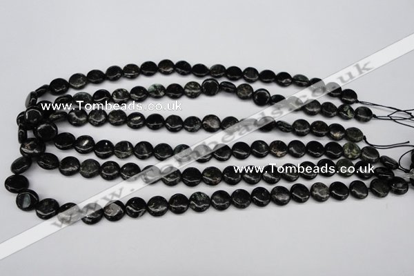 CAE44 15.5 inches 10mm flat round astrophyllite beads wholesale