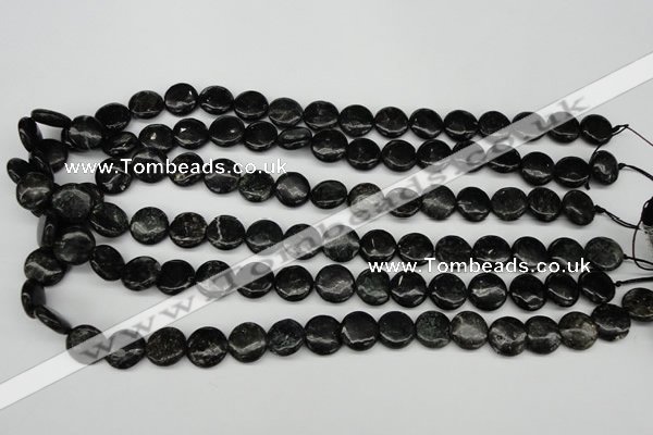 CAE45 15.5 inches 12mm flat round astrophyllite beads wholesale