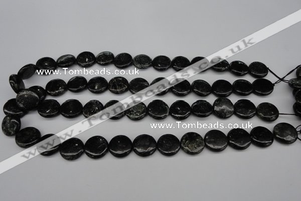 CAE46 15.5 inches 15mm flat round astrophyllite beads wholesale