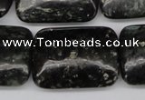 CAE95 15.5 inches 22*30mm rectangle astrophyllite beads wholesale