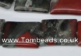 CAF02 15.5 inches 18*25mm rectangle African bloodstone beads