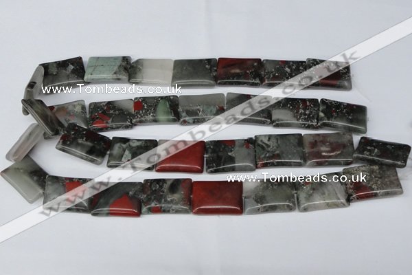 CAF02 15.5 inches 18*25mm rectangle African bloodstone beads