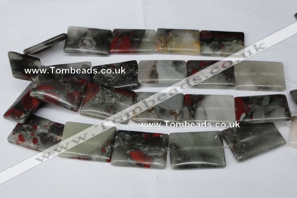 CAF03 15.5 inches 25*35mm rectangle African bloodstone beads