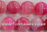 CAG140 smooth round 16mm madagascar agate stone beads Wholesale