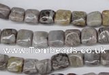 CAG1439 15.5 inches 8*8mm square bamboo leaf agate beads