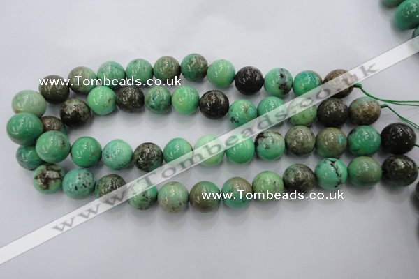 CAG1600 15.5 inches 16mm round green grass agate gemstone beads