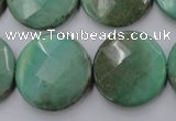 CAG1615 15.5 inches 25mm faceted coin green grass agate beads