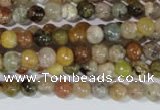 CAG1700 15.5 inches 4mm round rainbow agate beads wholesale